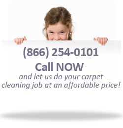 Carpet and Rug Steamers